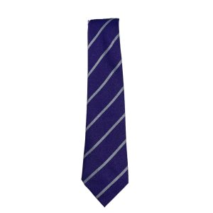 ANNANHILL TIE, Annanhill Primary School