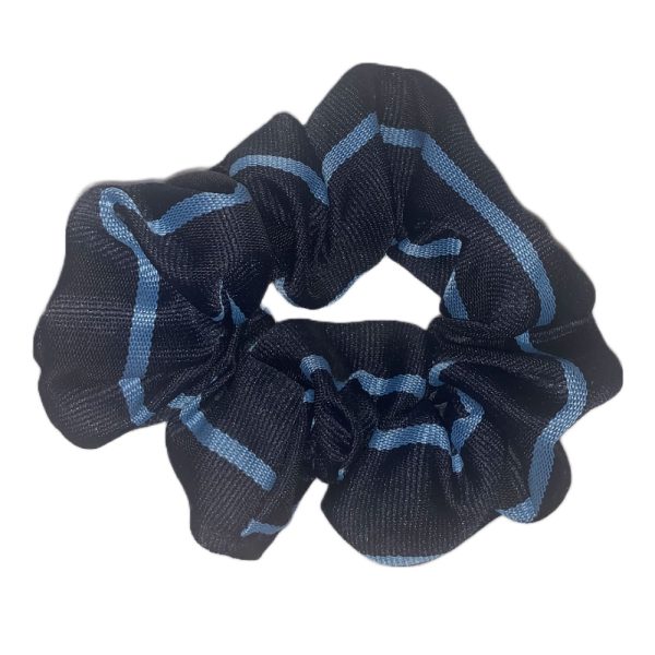 BARASSIE PRIMARY SCRUNCHIE, Barassie Primary School