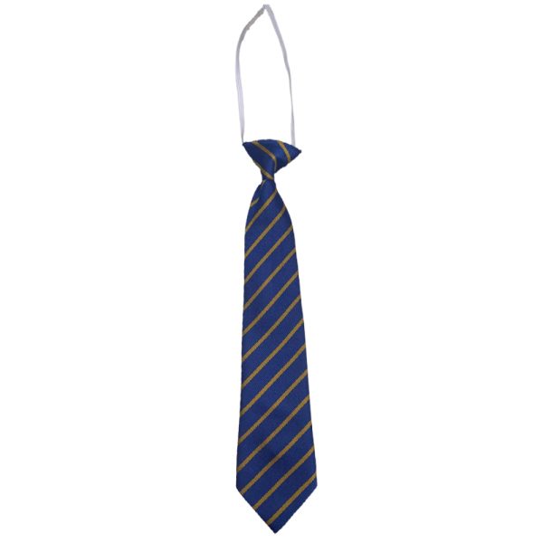 CASTLEPARK PRIMARY SCHOOL TIE, Castlepark Primary School