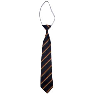 DREGHORN ELASTIC TIE, Dreghorn Primary School