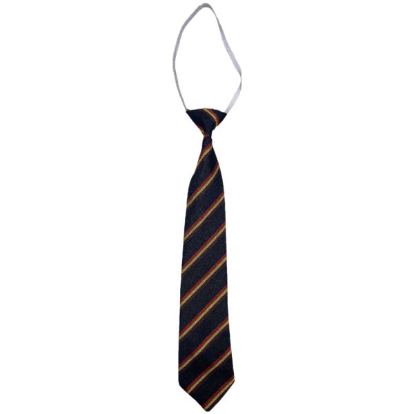 DREGHORN ELASTIC TIE, Dreghorn Primary School