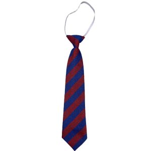 DUNDONALD ELASTIC TIE, Dundonald Primary School
