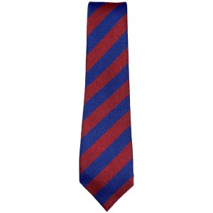 DUNDONALD TIE, Dundonald Primary School