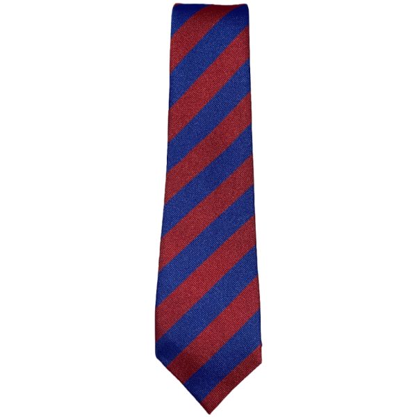 DUNDONALD TIE, Dundonald Primary School