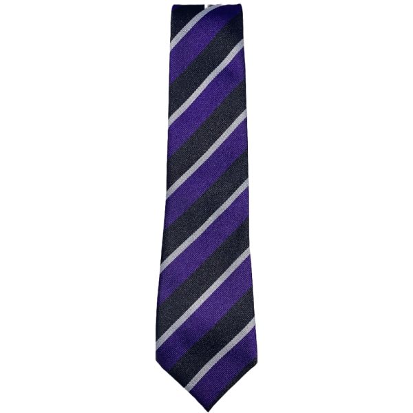 DYKESMAINS TIE, Dykesmains Primary School