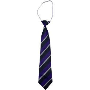 DYKESMAINS ELASTIC TIE, Dykesmains Primary School