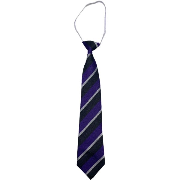 DYKESMAINS ELASTIC TIE, Dykesmains Primary School