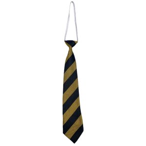 FENWICK ELASTIC TIE, Fenwick Primary School