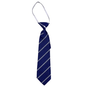 GARGIESTON ELASTIC TIE, Gargieston Primary School