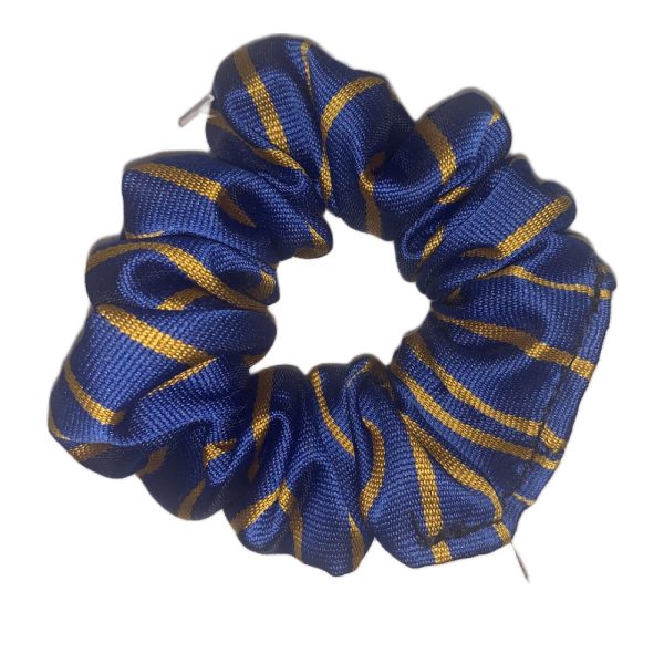 CASTLEPARK PRIMARY SCRUNCHIE, Castlepark Primary School