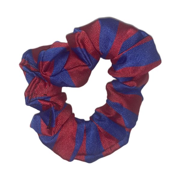 DUNDON SCRUNCHIE, Dundonald Primary School
