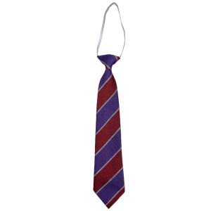 JAMES HAMILTON PS TIE, James Hamilton Primary School