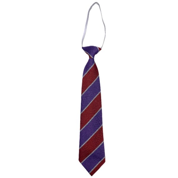 JAMES HAMILTON PS TIE, James Hamilton Primary School