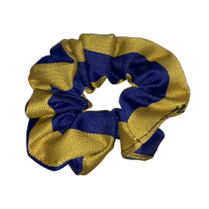 KILMAUR'S SCRUNCHIE, Kilmaurs Primary School