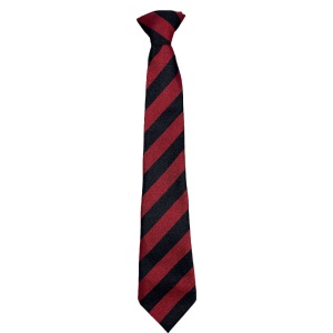 ST JOSEPHS TIE, St. Joseph's Academy