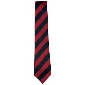 ST JOSEPHS TIE, St. Joseph's Academy
