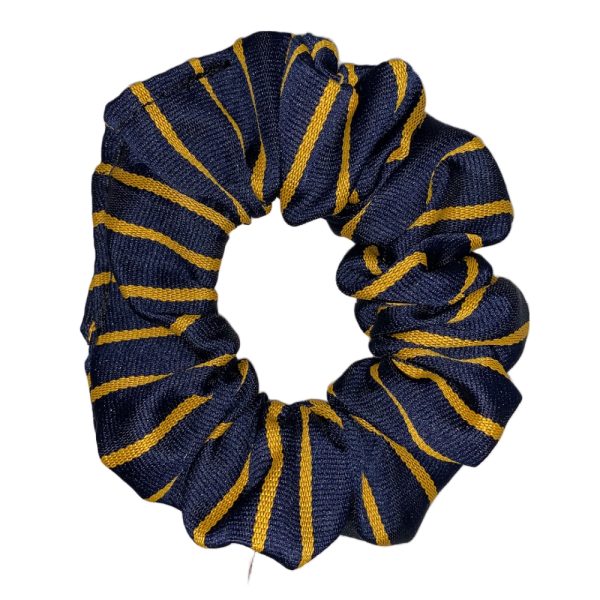 STANLEY PRIMARY SCRUNCHIE, Stanley Primary School