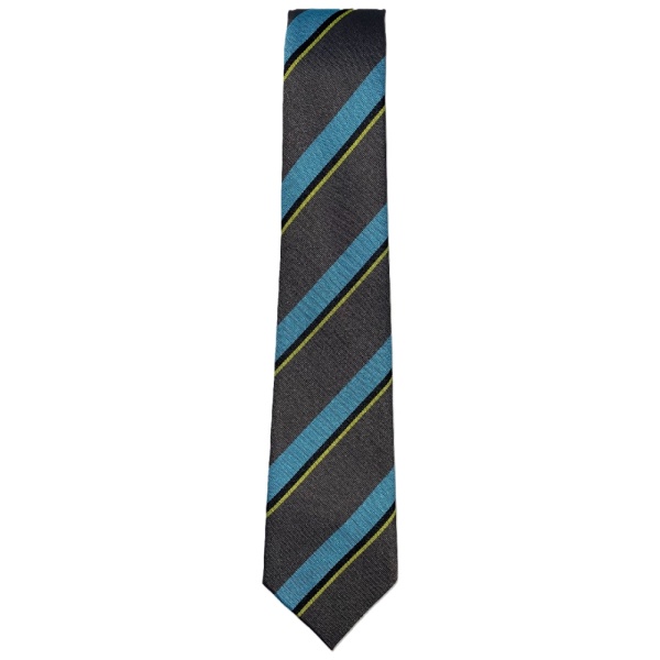 STEWARTON TIE, Stewarton Academy
