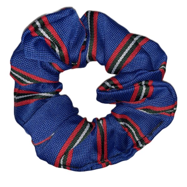 TROON PRIMARY SCRUNCHIE, Troon Primary School