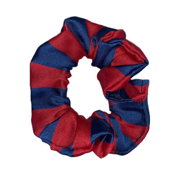 WESTER OVERTON SCRUNCHIE, Wester Overton Primary School