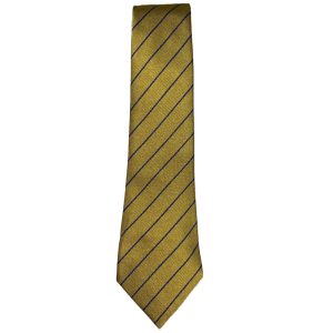 WHATRIGGS P.S. TIE, Whatriggs Primary School