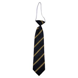 HURLFORD ELASTIC TIE, Hurlford Primary School