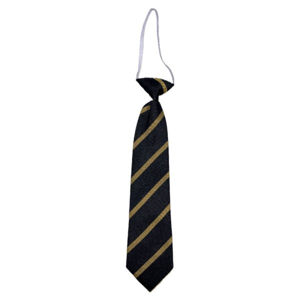 HURLFORD ELASTIC TIE, Hurlford Primary School