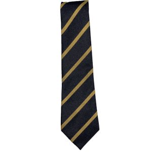 HURLFORD TIE, Hurlford Primary School