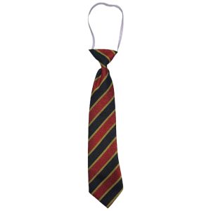 MAUCHLINE ELASTIC TIE, Mauchline Primary Schol