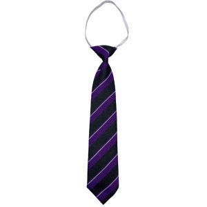 NETHER ROBERTLAND ELASTIC TIE, Nether Robertland Primary School
