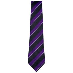 NETHER TIE, Nether Robertland Primary School