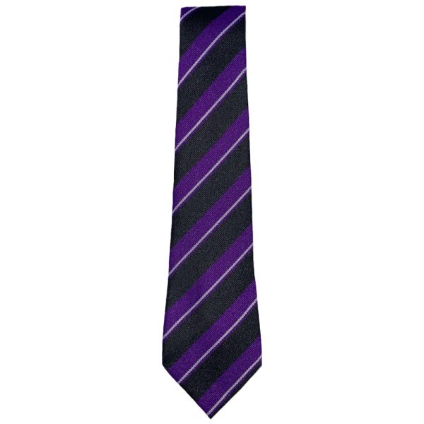 NETHER TIE, Nether Robertland Primary School