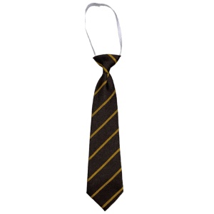 TARBOLTON PRIMARY ELASTIC TIE, Tarbolton Primary School