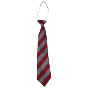 WEST KILBRIDE P.S. ELASTIC TIE, West Kilbride Primary School