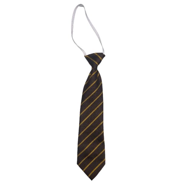 WINTON ELASTIC TIE, Winton Primary School