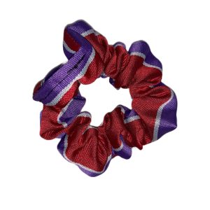 JAMES HAMILTON PS SCRUNCHIE, James Hamilton Primary School