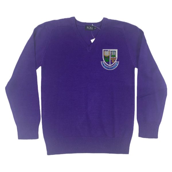 DYKESMAINS P.S. COTTON V-NECK, Dykesmains Primary School