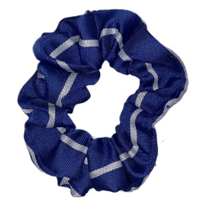 GARGIESTON SCRUNCHIE, Gargieston Primary School