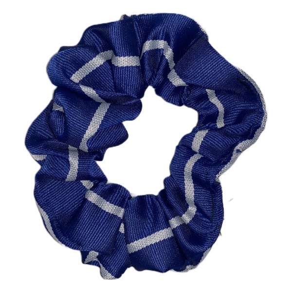 GARGIESTON SCRUNCHIE, Gargieston Primary School