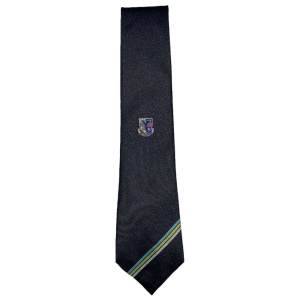 STEWARTON ACADEMY SENIOR TIE, Stewarton Academy