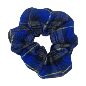 TARTAN SCRUNCHIES HAND MADE, Darvel Primary School, Dundonald Primary School, Elderbank Primary School, Galston Primary School, Springside Primary School, Tartan, Hair Accessories, Corsehill Primary School, Gargieston Primary School, Hillhead Primary School, Kilmaurs Primary School, Lainshaw Primary School, Monkton Primary School, Mount Carmel Primary School, Struthers Primary School, Castlepark Primary School, Troon Primary School, Whatriggs Primary School, Willowbank School