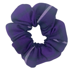 TARTAN SCRUNCHIES HAND MADE, Annanhill Primary School, Glebe Primary School, Loanhead Primary School, Loudoun Montgomery Primary School, Nether Robertland Primary School, Newmilns Primary School, Shortlees Primary School, St. John's Primary School